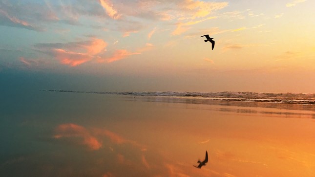 'Testifying to the Good News of God's Grace' 'Testifying to the Good News of God's Grace'
