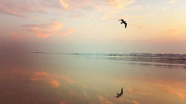 The Seven Beatitudes of Revelation: Blessed When All Is Said and Done The Seven Beatitudes of Revelation: Blessed When All Is Said and Done