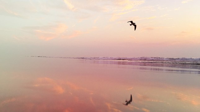 ‘Entrusted with the Gospel’ ‘Entrusted with the Gospel’
