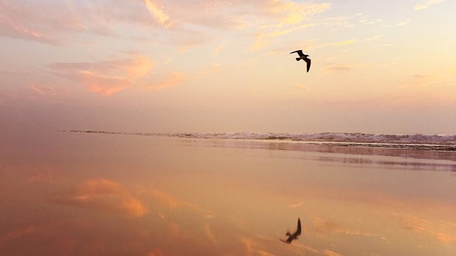 The Slow Work of God