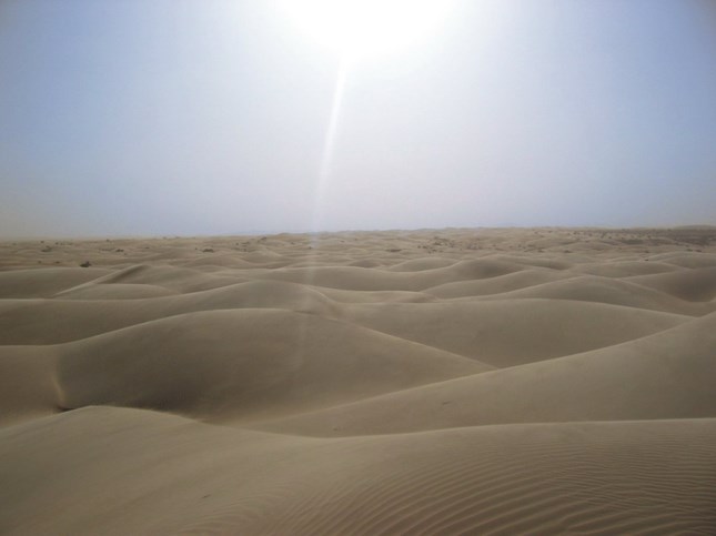 Sahara Desert