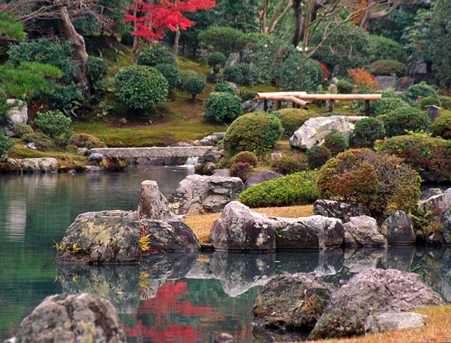 Japanese Garden