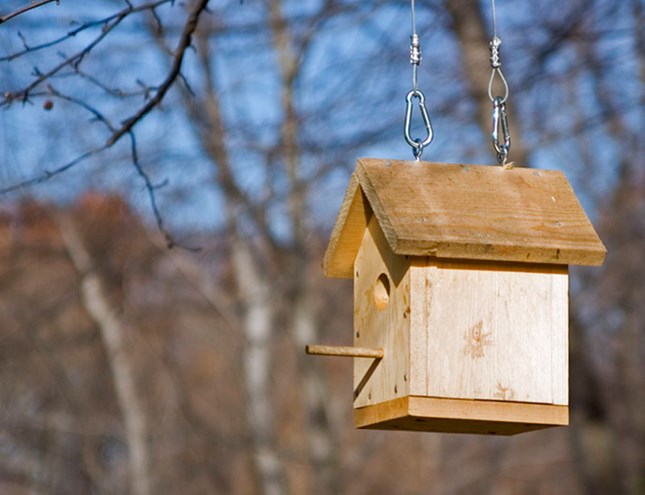 Birdhouse