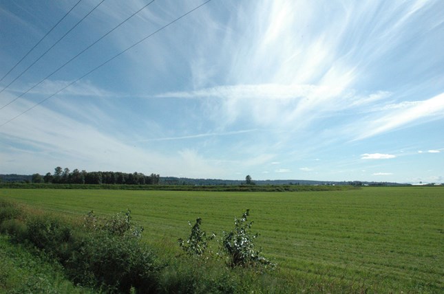 Sky and Field