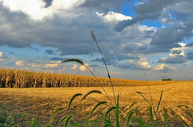 Harvest