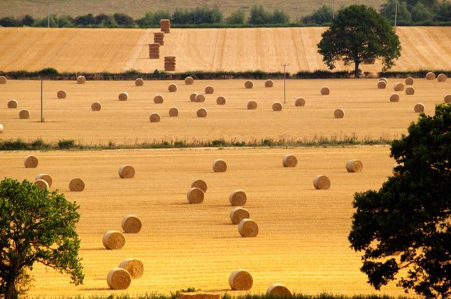 Harvest