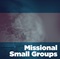 Missional Small Groups Missional Small Groups