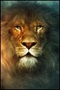 The Chronicles of Narnia The Chronicles of Narnia