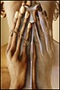 The Severe Mercy of God The Severe Mercy of God