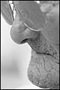 A Look at the Prophets A Look at the Prophets