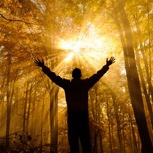 The Paradox of Freedom