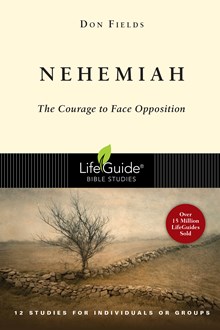 Nehemiah: The Courage to Face Opposition