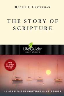 The Story of Scripture