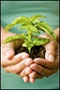 Spiritual Growth Assessment Pack Spiritual Growth Assessment Pack